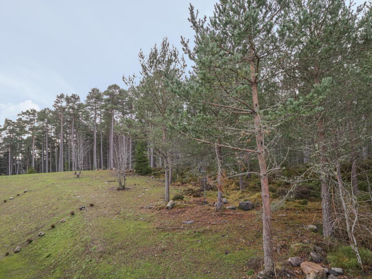Osprey Apartment Kingussie Exteriör bild